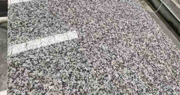 鄂尔多斯 芙蓉白光面