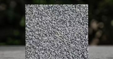 鄂尔多斯 芝麻黑荔枝面