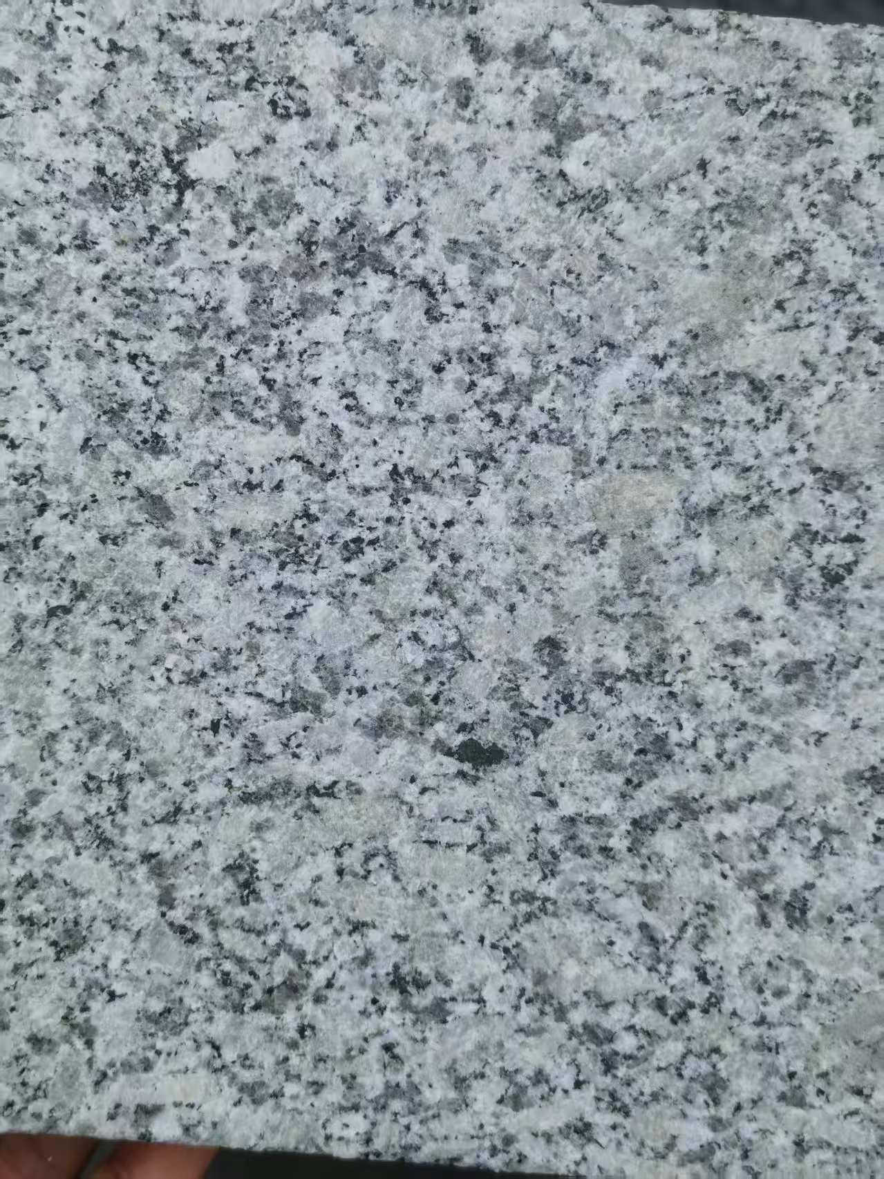 鄂尔多斯 芙蓉白火烧面